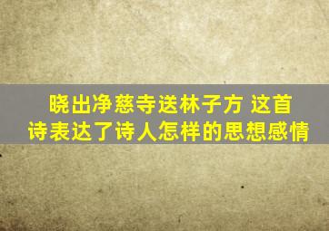 晓出净慈寺送林子方 这首诗表达了诗人怎样的思想感情